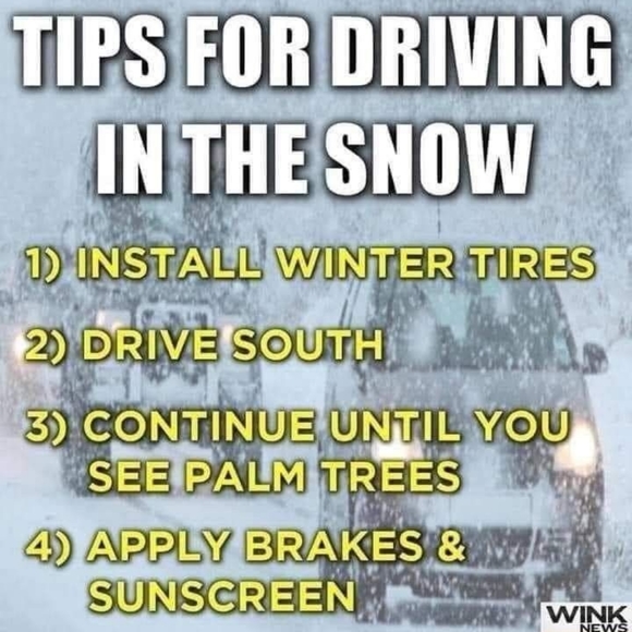 LONG sleeved tops, sweatshirts & sweaters - Picture 4 of 14